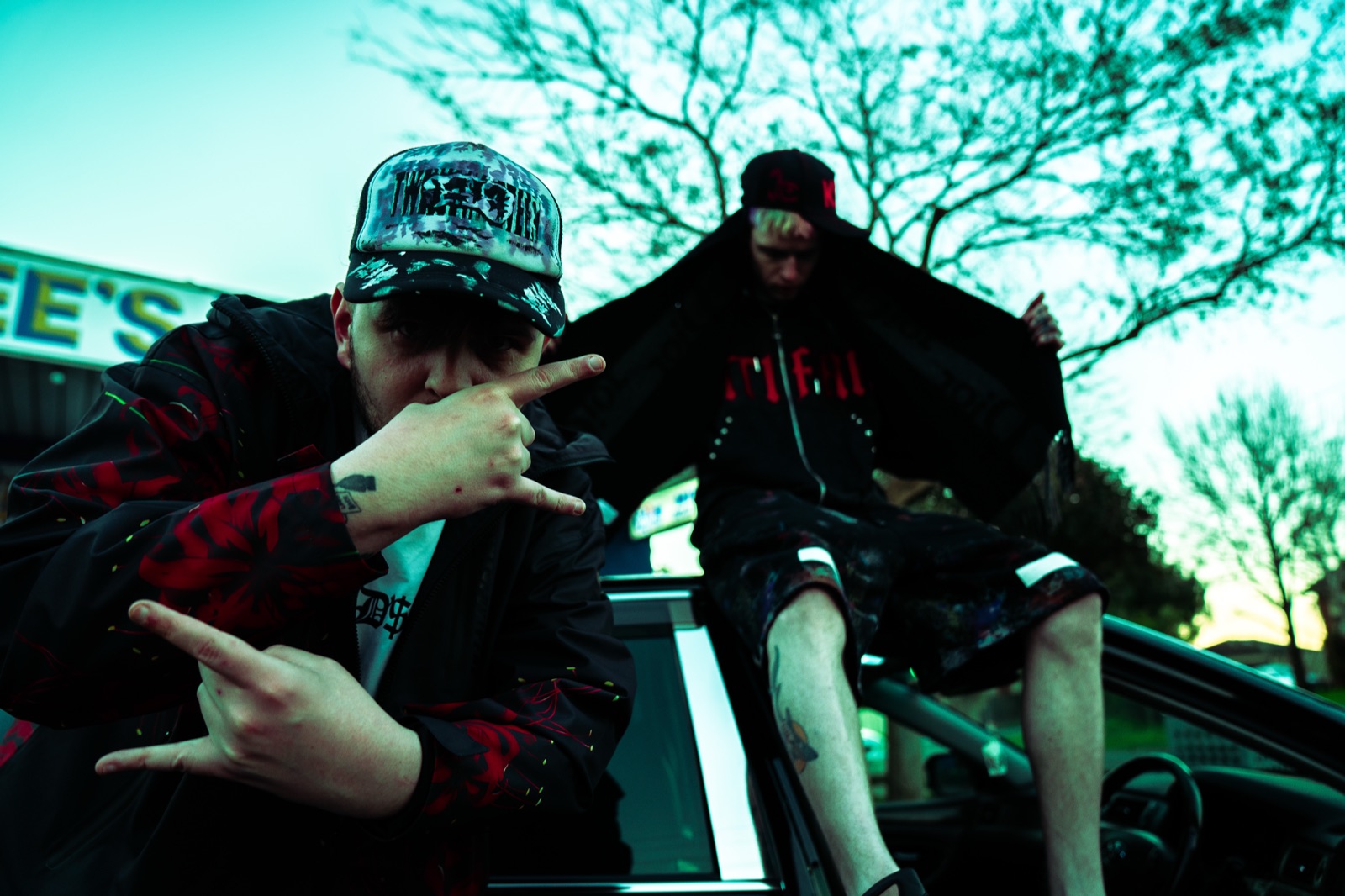 Paracosmic still 19